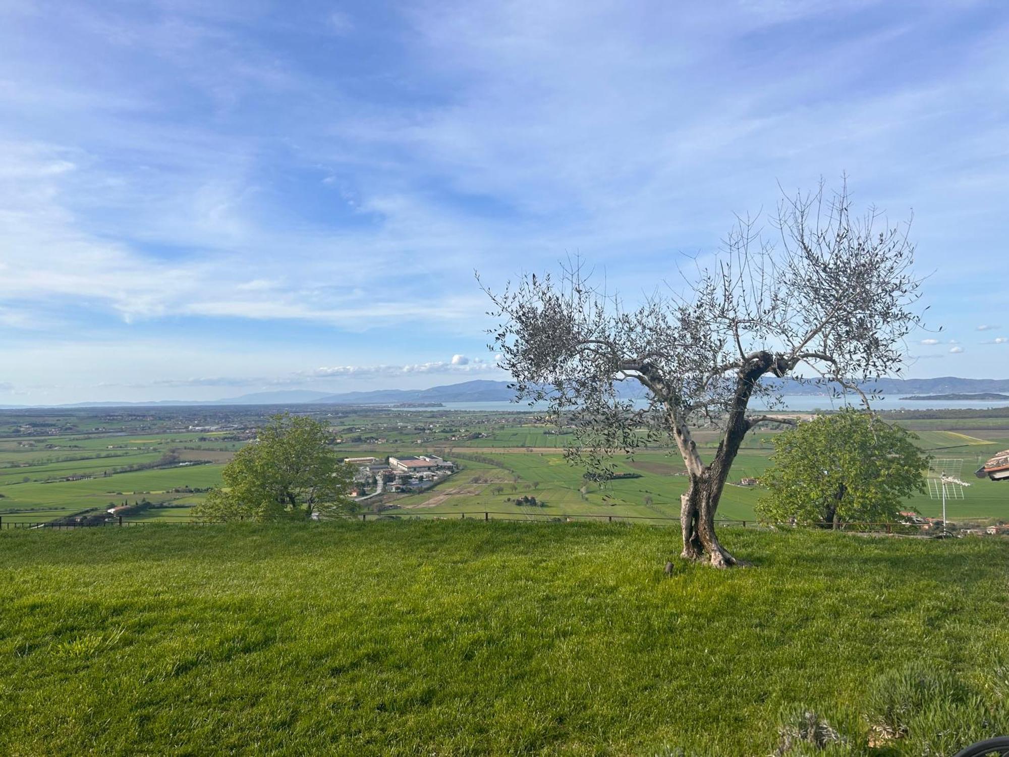 Boutique Hotel Masolino Panicale Eksteriør bilde